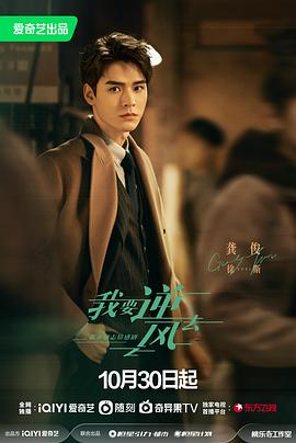 专业全网SEO优化